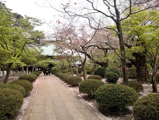 猫寺大谿山
